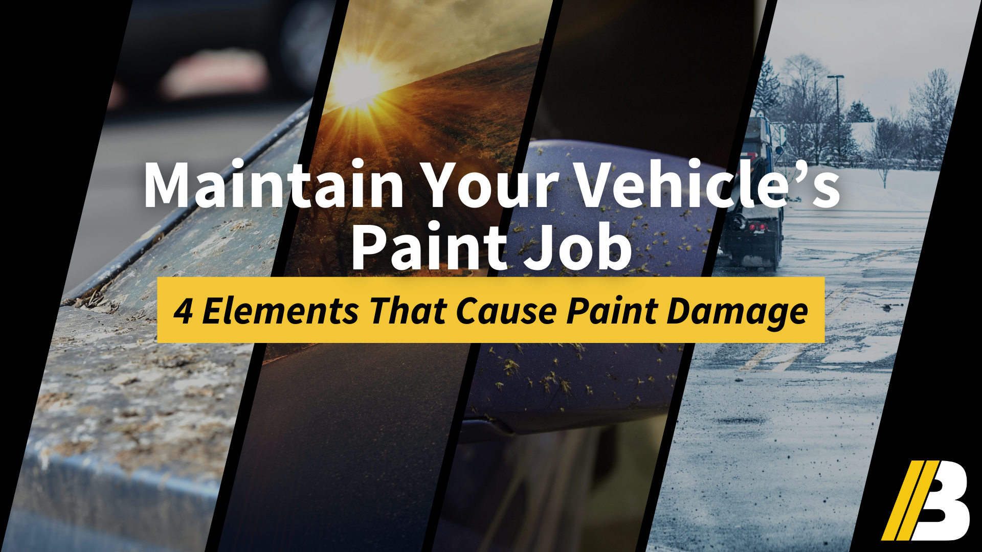 4 Common Elements That Damage Your Car's Paint